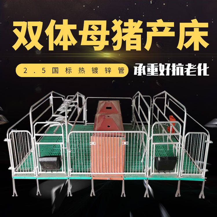 雙體母豬產床 保育床分娩床 養(yǎng)豬場設備